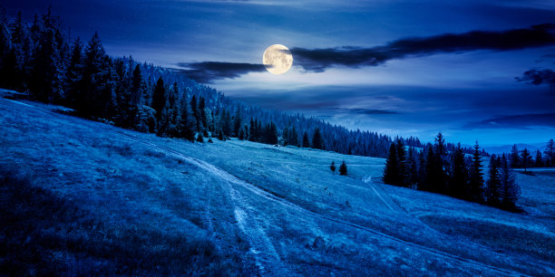月亮下的风景