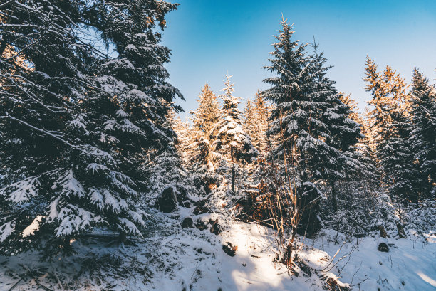 下雪后的操场