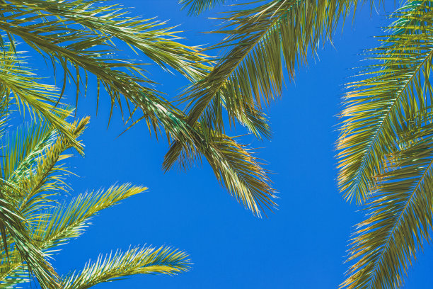 夏日缤纷海报