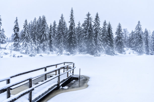 早冬湖边霜冻的美景