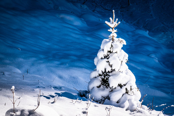 雪中长椅