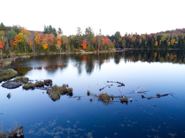 秋季航拍湖泊森林