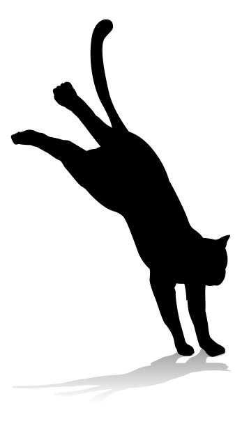 萌猫logo