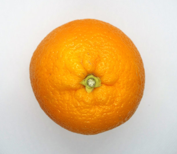 彩色夏日鲜橙