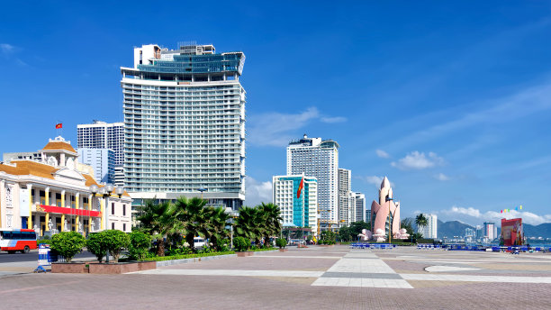 椰子树街景