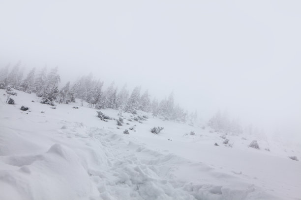 白色冰雪大雪