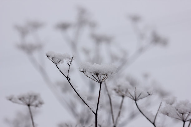 积雪寒冷小雪小寒大寒