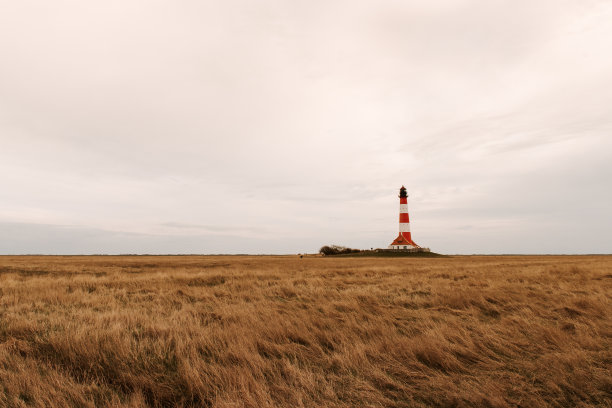 沿海滩涂风光