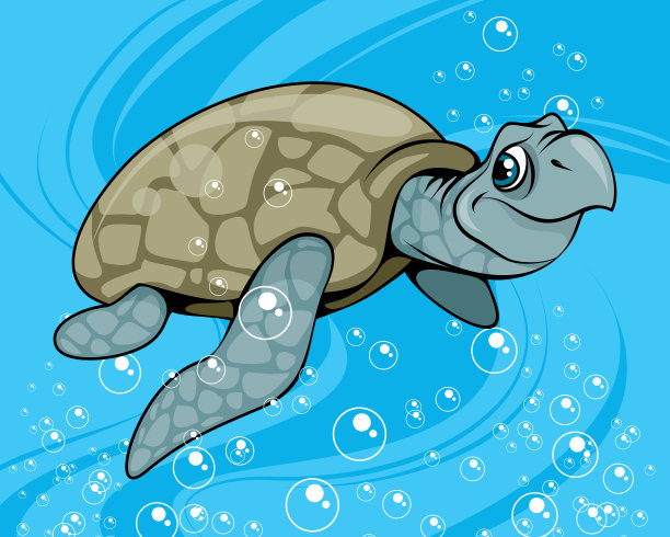 彩色海龟
