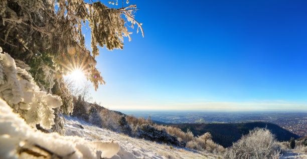 冬天雪景海报