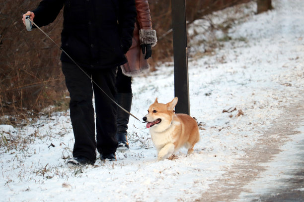 雪天行走的人