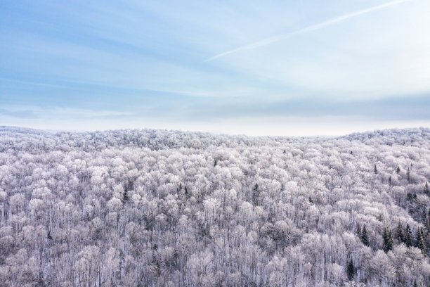 冰雪飞扬