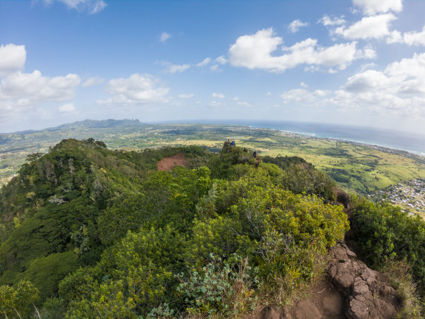 远山丛林美景