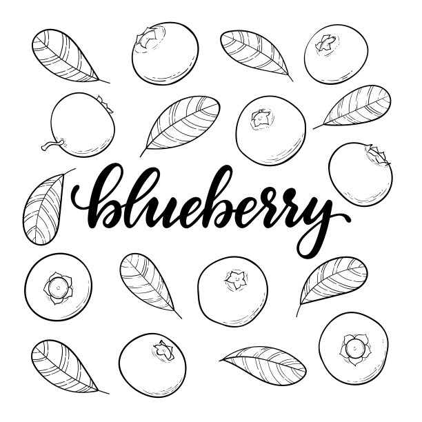 蓝莓木刻插画