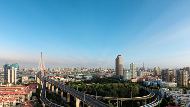 杨浦大桥全景