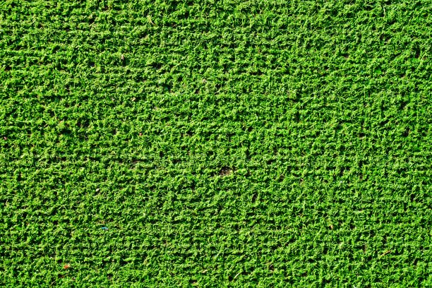 绿色抽象地毯