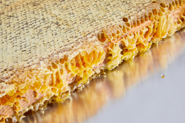 蜜蜂底纹