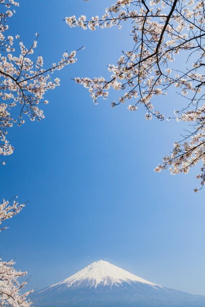 粉色天空壁纸