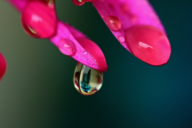 谷雨时节