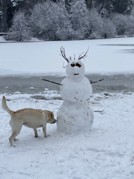 雪人小狗