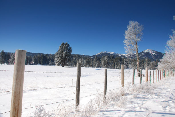 白雪覆盖牧场