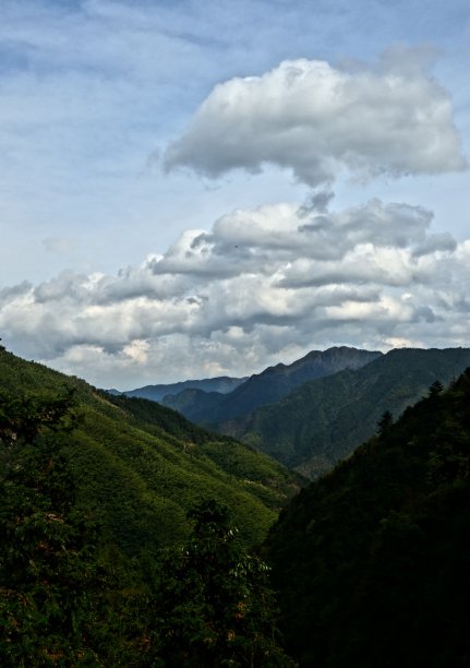 浙江山景