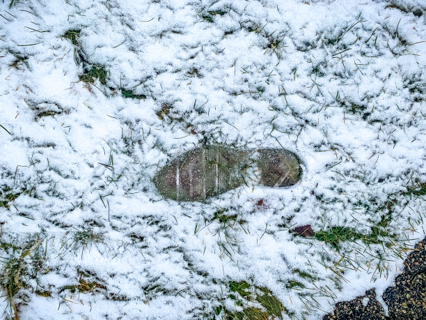 下雪中的院子