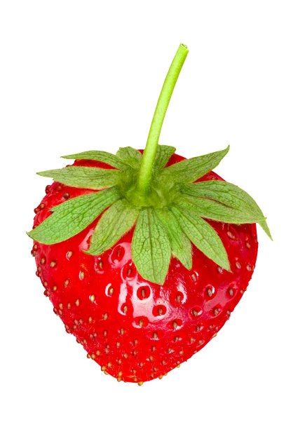 颜色鲜艳的新鲜草莓特写
