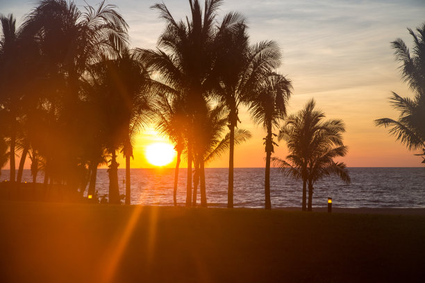 海边夕阳椰树剪影