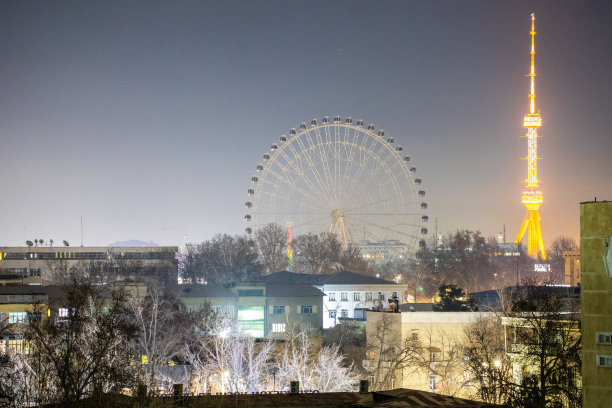 夜晚公园道路