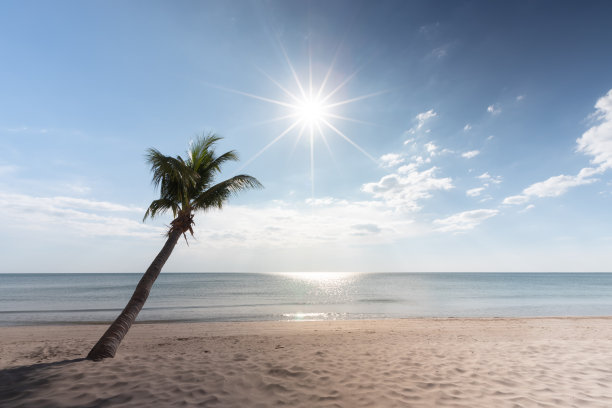 椰树海滩蓝天