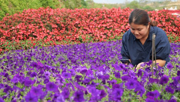 清明时节宣传