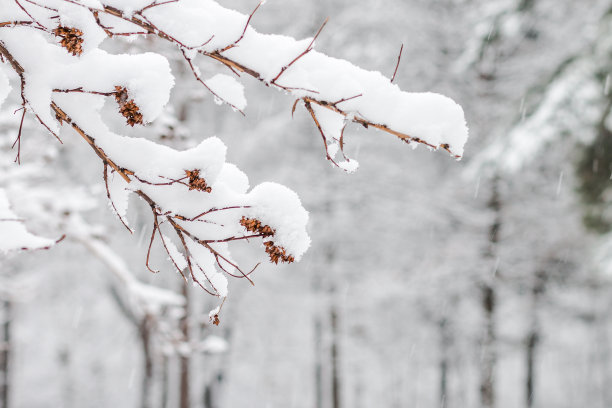 积雪寒冷小雪小寒大寒