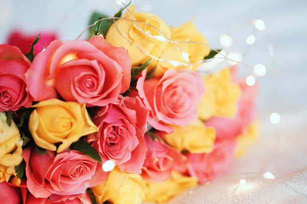 玫瑰 婚礼背景 盛开鲜花