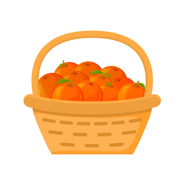 橙子采摘季