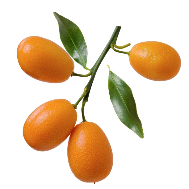 橘子包装