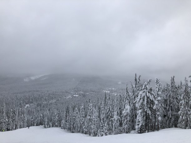 积雪寒冷小雪小寒大寒