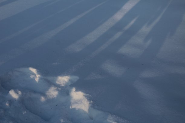 下雪后的操场