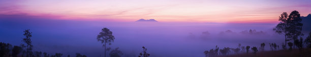 山峦云雾松树日出