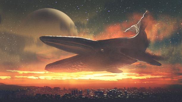 飞翔空中幻想鲸鱼插画