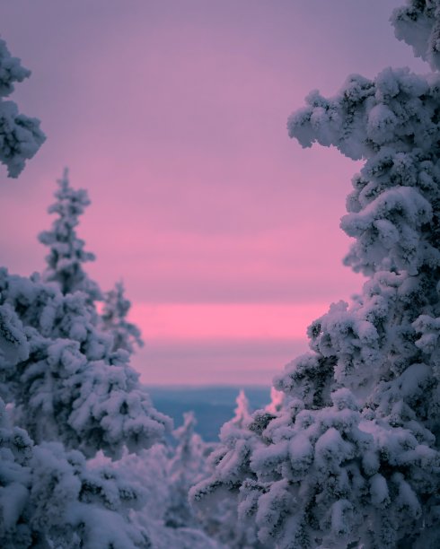 关于雪的素材