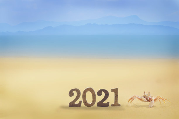 2021年背景