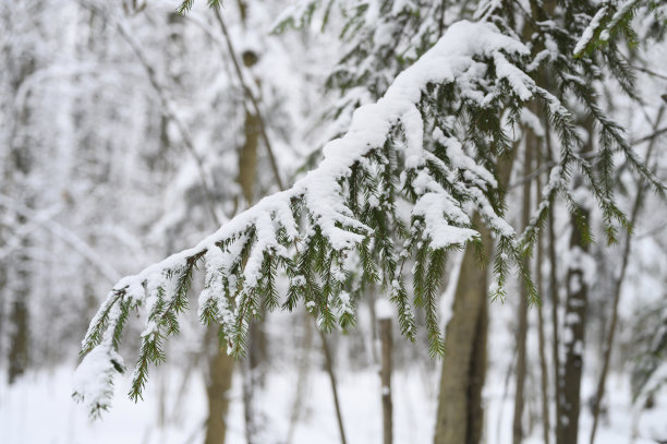 大雪圣诞素材