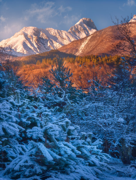 登山道