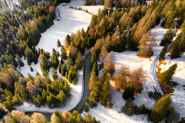 山林登山道