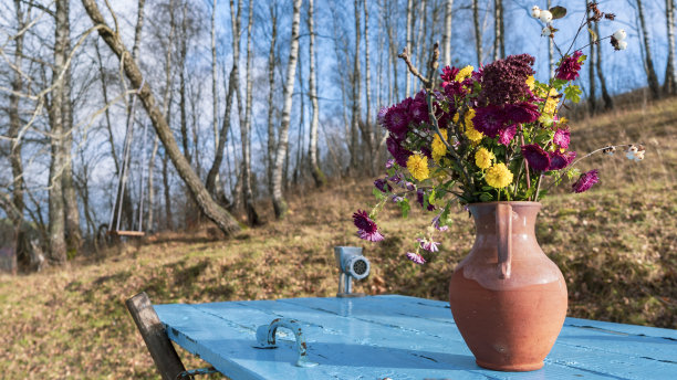 木桌上白花蓝花瓶