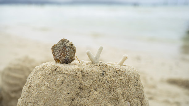 石头,沙滩