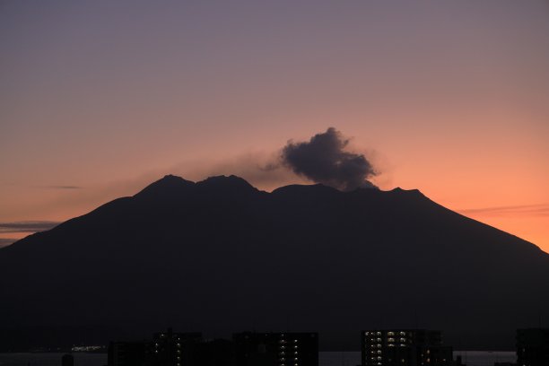 夕阳下的小树林