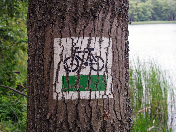 树下自行车