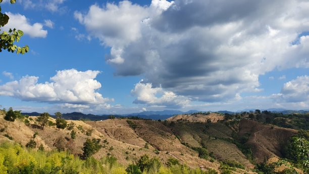 景观素材